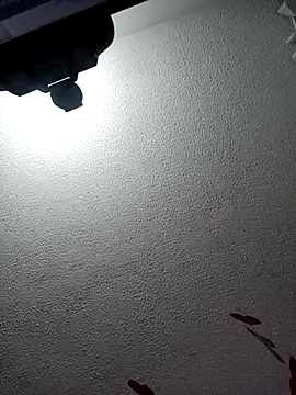 Snapshot of Deina_bunny chatting on 02.20.25 Deina bunny online show from 02.20.25