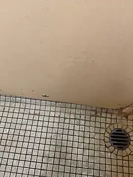 Snapshot of DreamerAsianGuy chatting on 12.25.24 DreamerAsianGuy online show from 12.25.24