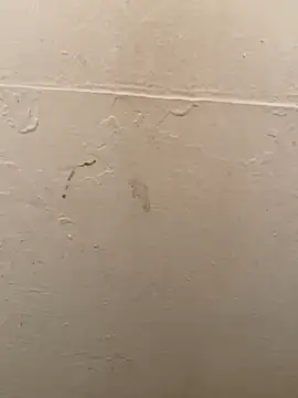 Snapshot of DreamerAsianGuy chatting on 01.19.25 DreamerAsianGuy online show from 01.19.25