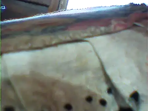 Snapshot of messi_syssy chatting on 02.25.25 messi syssy online show from 02.25.25