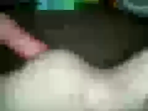 Snapshot of xxxlecram chatting on 01.15.25 xxxlecram online show from 01.15.25