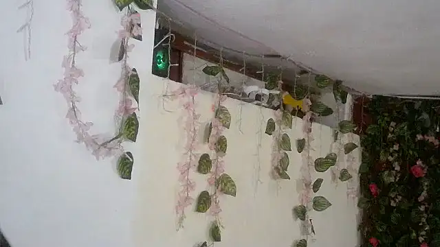 emmafox ls online show from 11.02.25